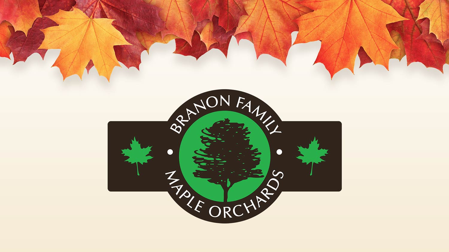 Graphic showing Branon Family Maple Orchards logo over cream gradient with fall maple leaves above