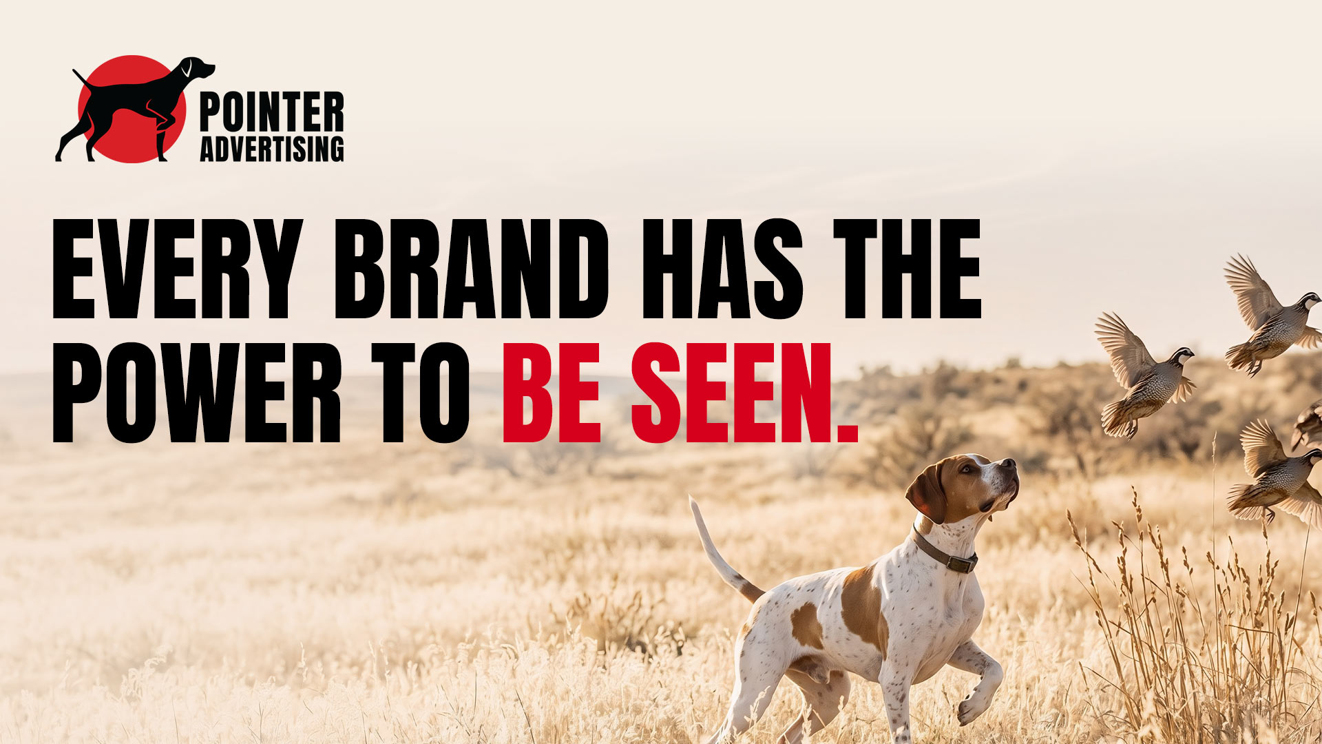 Advertising Services | Raleigh, NC | Pointer Advertising